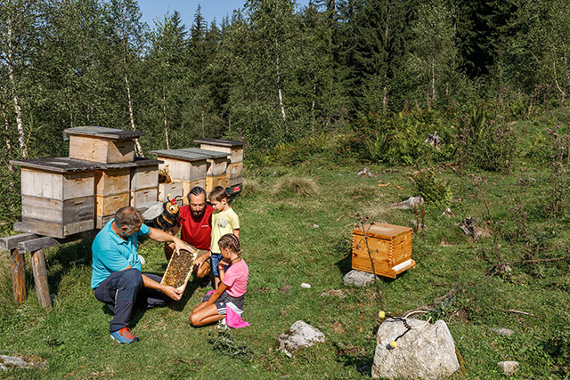 Familiennestwochen im Hochpustertal - Biene Line auf der Alm