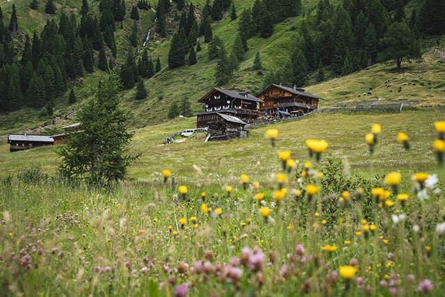 Herz-ASS ist Trumpf - Volkzeiner Hütte | © TVB Osttirol / Thomas Herdieckerhoff