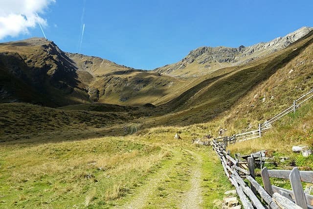 Almwanderung im Villgratental