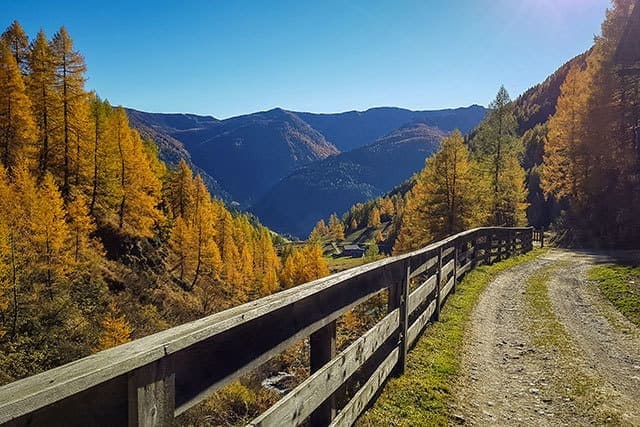 Goldener Herbst im Villgratental - Schmidhofalm im Ainettal