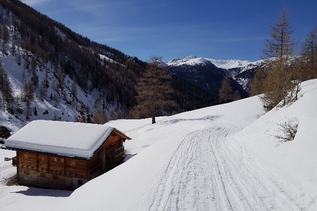 Schmiedhofalm im Villgratental
