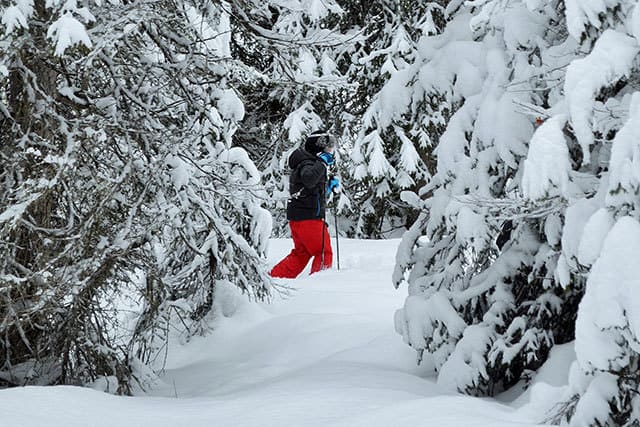 Schneeschuhwanderung durch tief verschneite Wälder