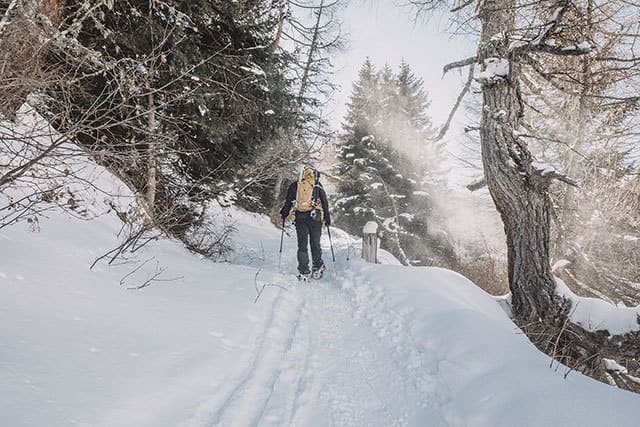 Schneeschuhwandern in Osttirol / Hochpustertal