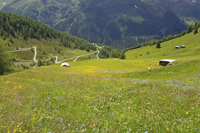 Bergwandern mit Alfons Senfter.