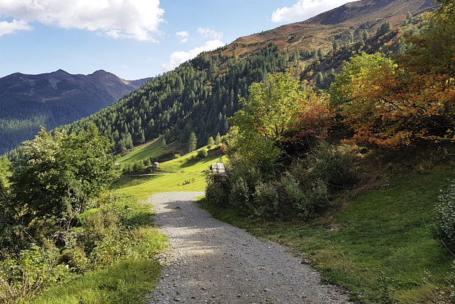 Bergwandern mit Alfons Senfter.