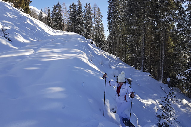 Schneeschuhwandern mit Alfons Senfter.