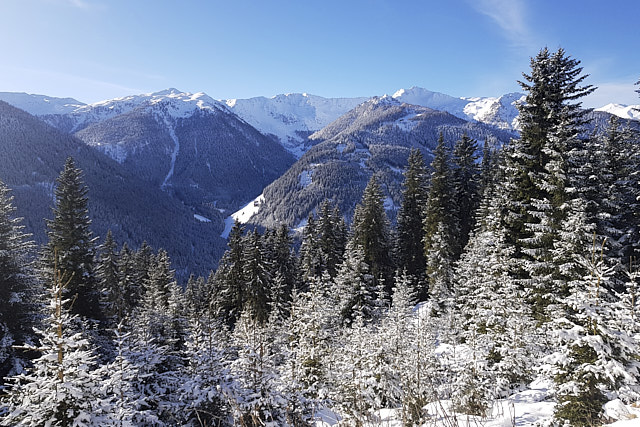 Schneeschuhwandern mit Alfons Senfter.