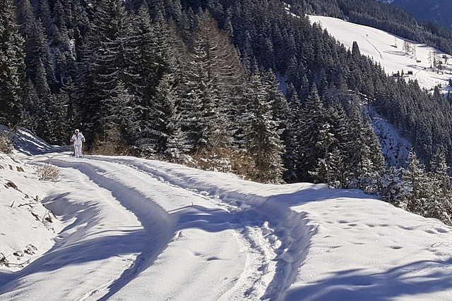 Schneeschuhwandern mit Alfons Senfter.