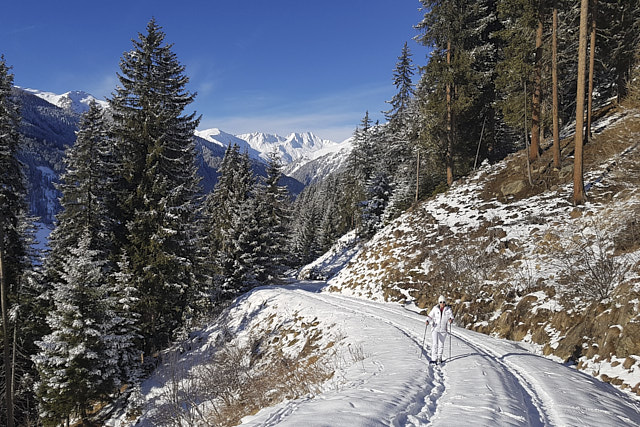 Schneeschuhwandern mit Alfons Senfter.